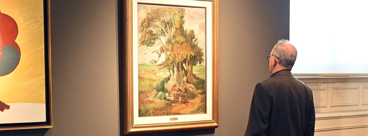 Vista del Museo de Arte Tigre
